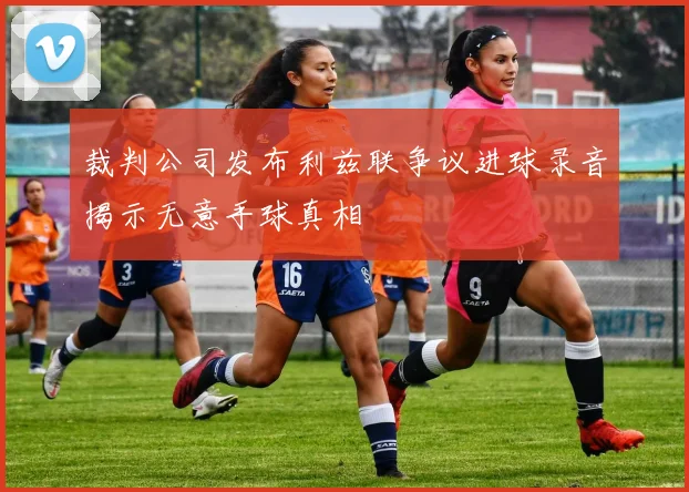 裁判公司发布利兹联争议进球录音揭示无意手球真相